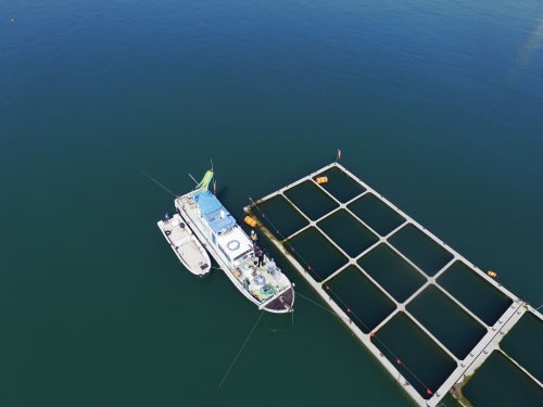 DJI_0108_01
